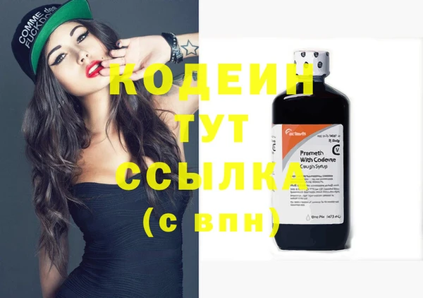 крисы Богородицк