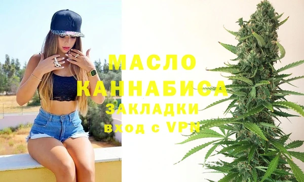 крисы Богородицк