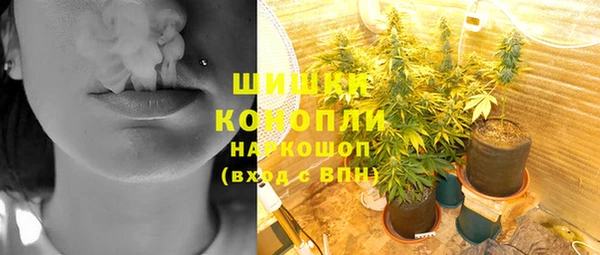 шишки Богородск