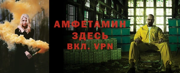 шишки Богородск