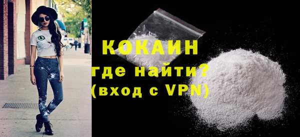 крисы Богородицк
