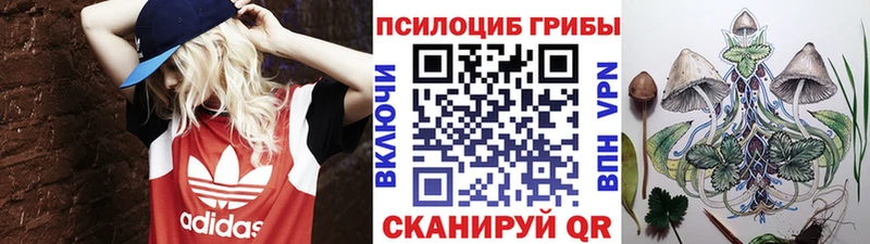 Галлюциногенные грибы MAGIC MUSHROOMS  площадка клад  Бологое  KRAKEN рабочий сайт 